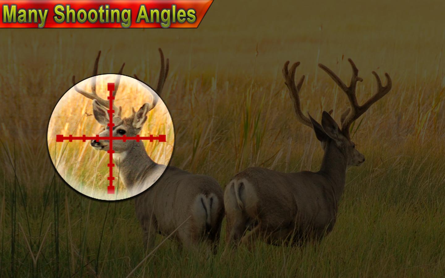 wild deer hunter adventure 2019