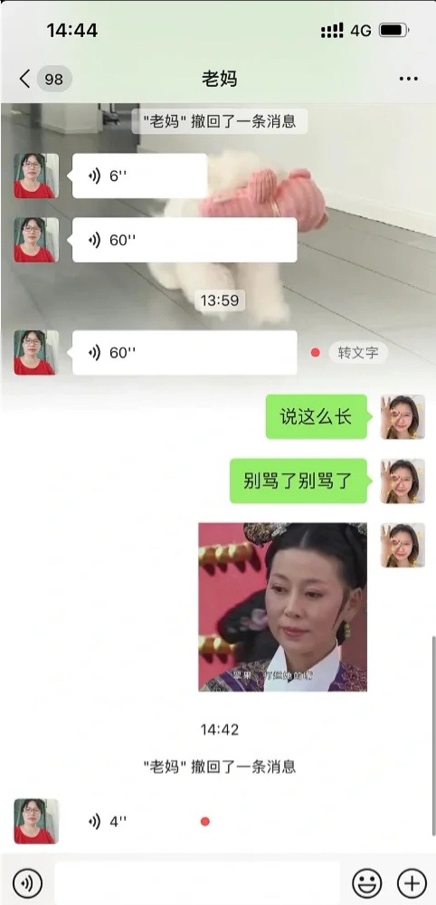 当我给我妈发送发疯文学_图3