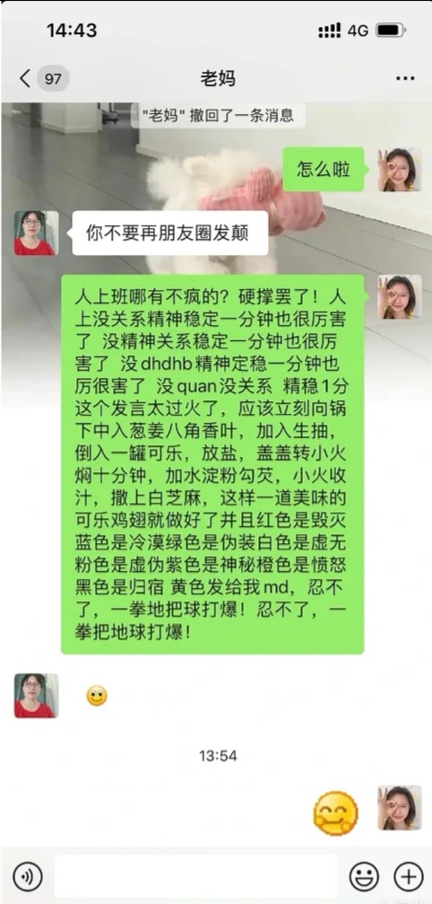 当我给我妈发送发疯文学_图1