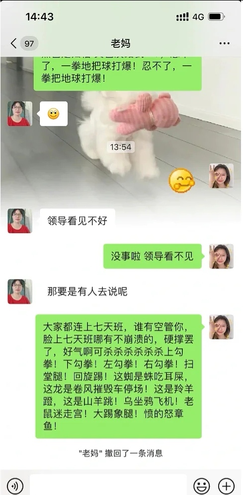 当我给我妈发送发疯文学_图2