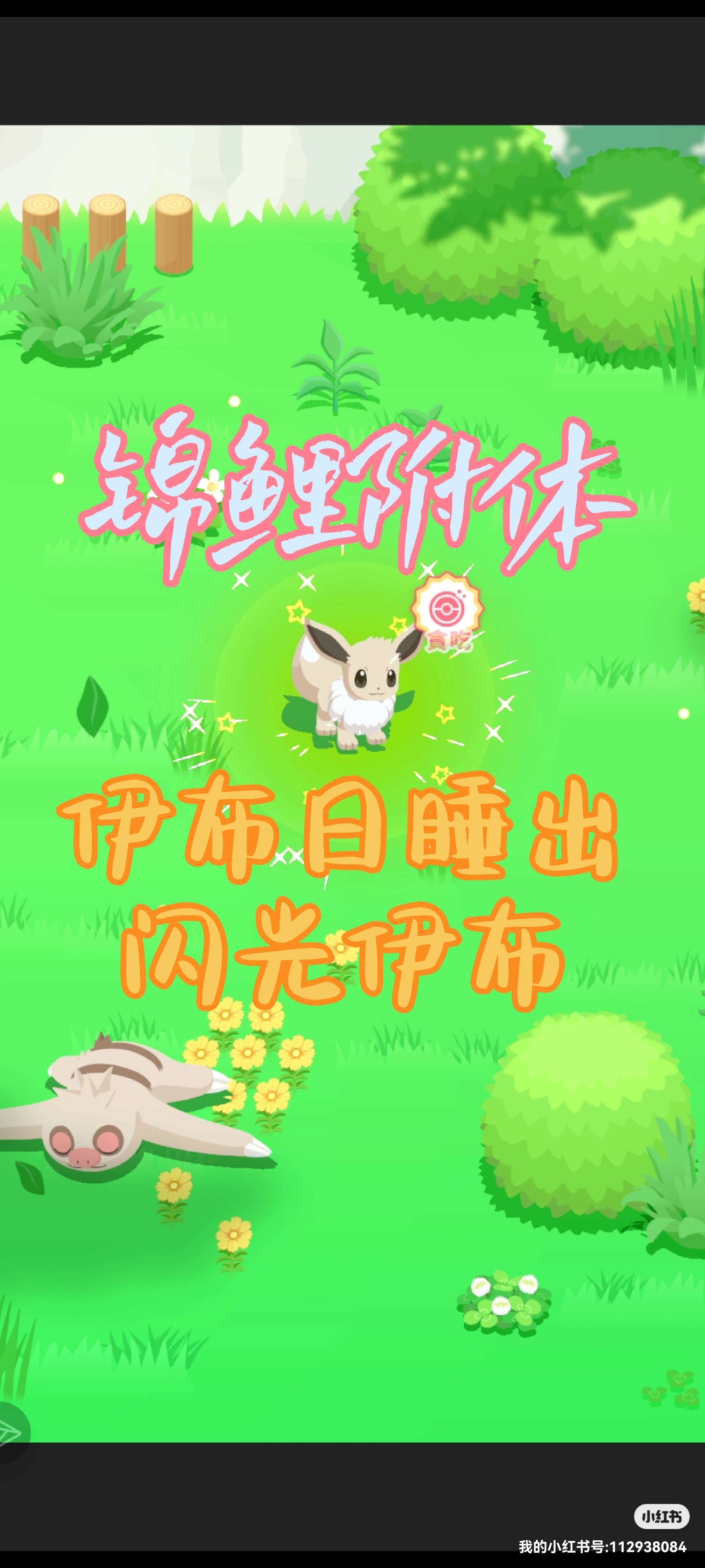 闪光伊布！_图1