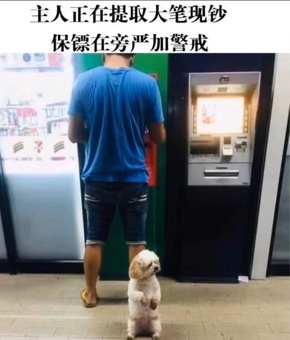它真的好会_图1