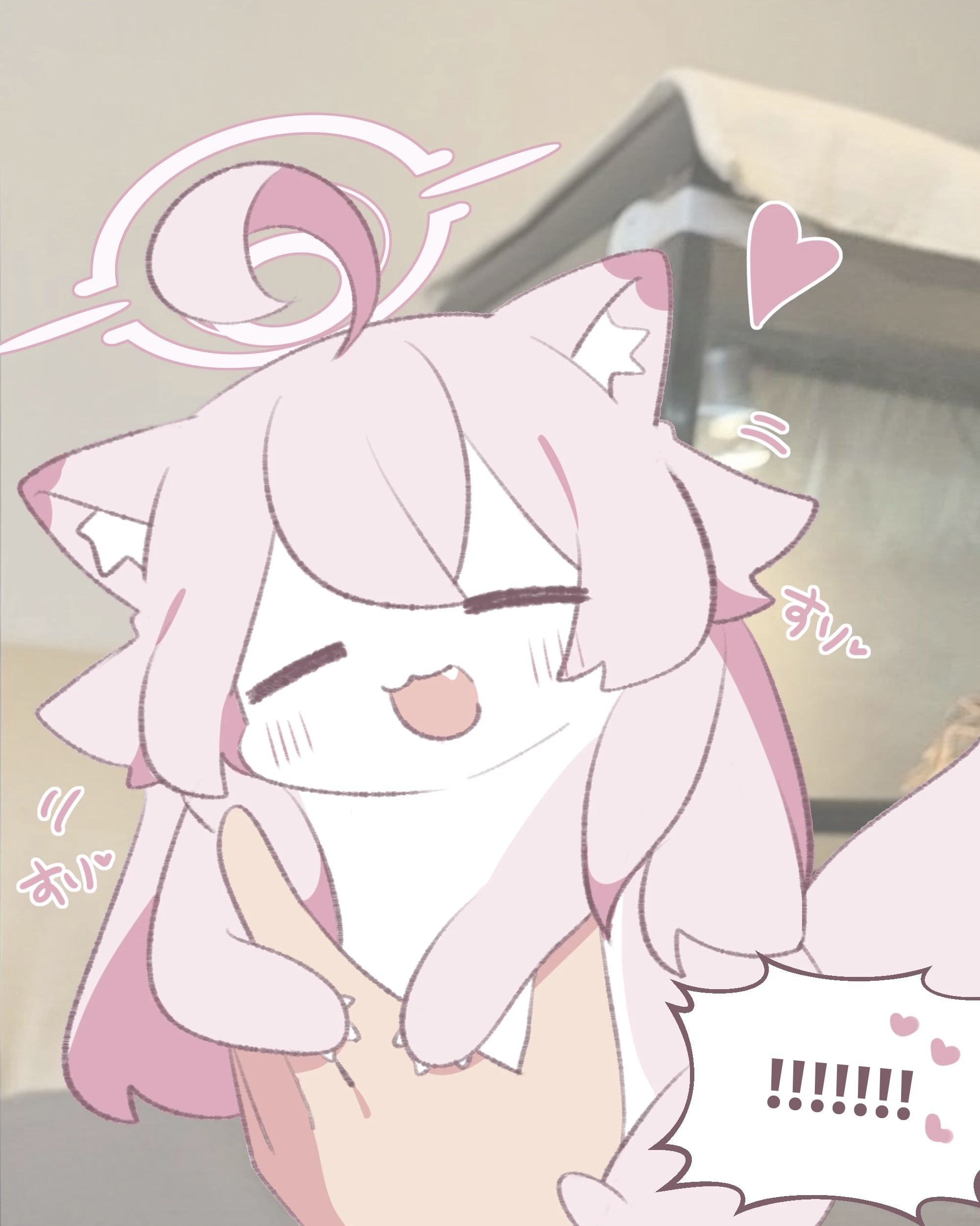 星野猫猫2.0_图3