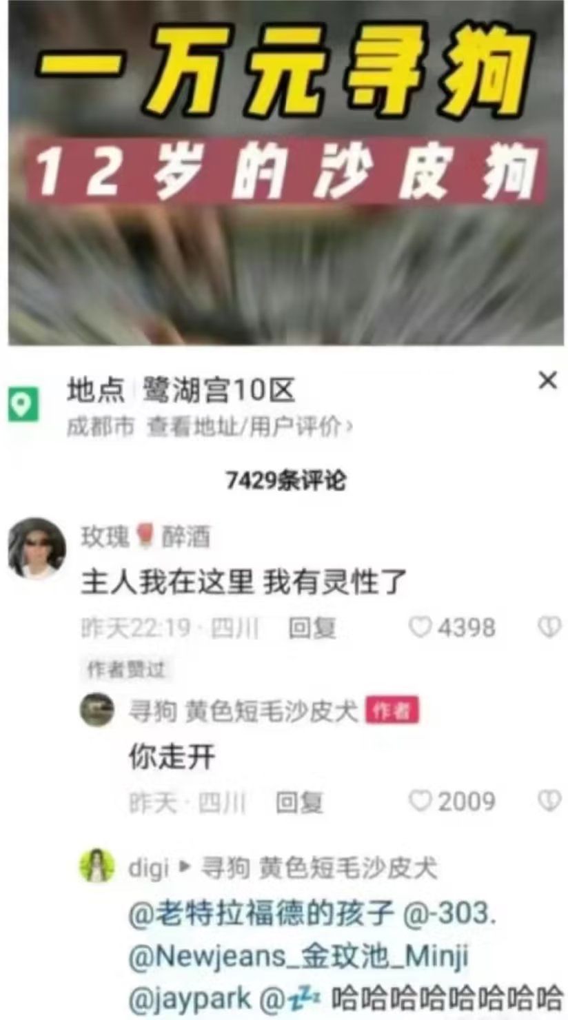 神评和聊天记录来喽_图3