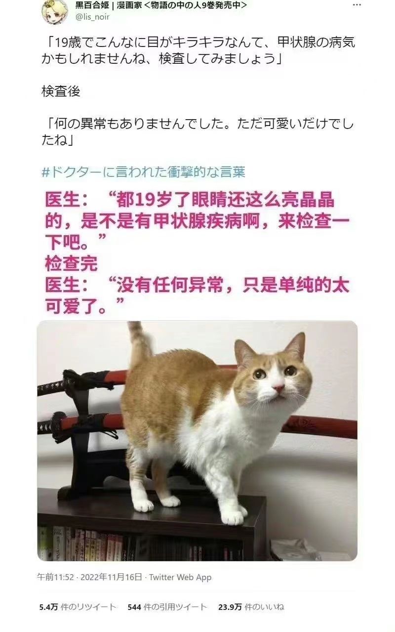 猫猫看病轶事_图1