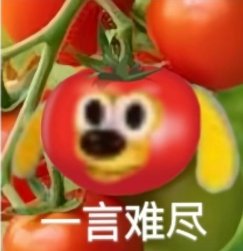这是这个决斗场该有的吗🤐_图2
