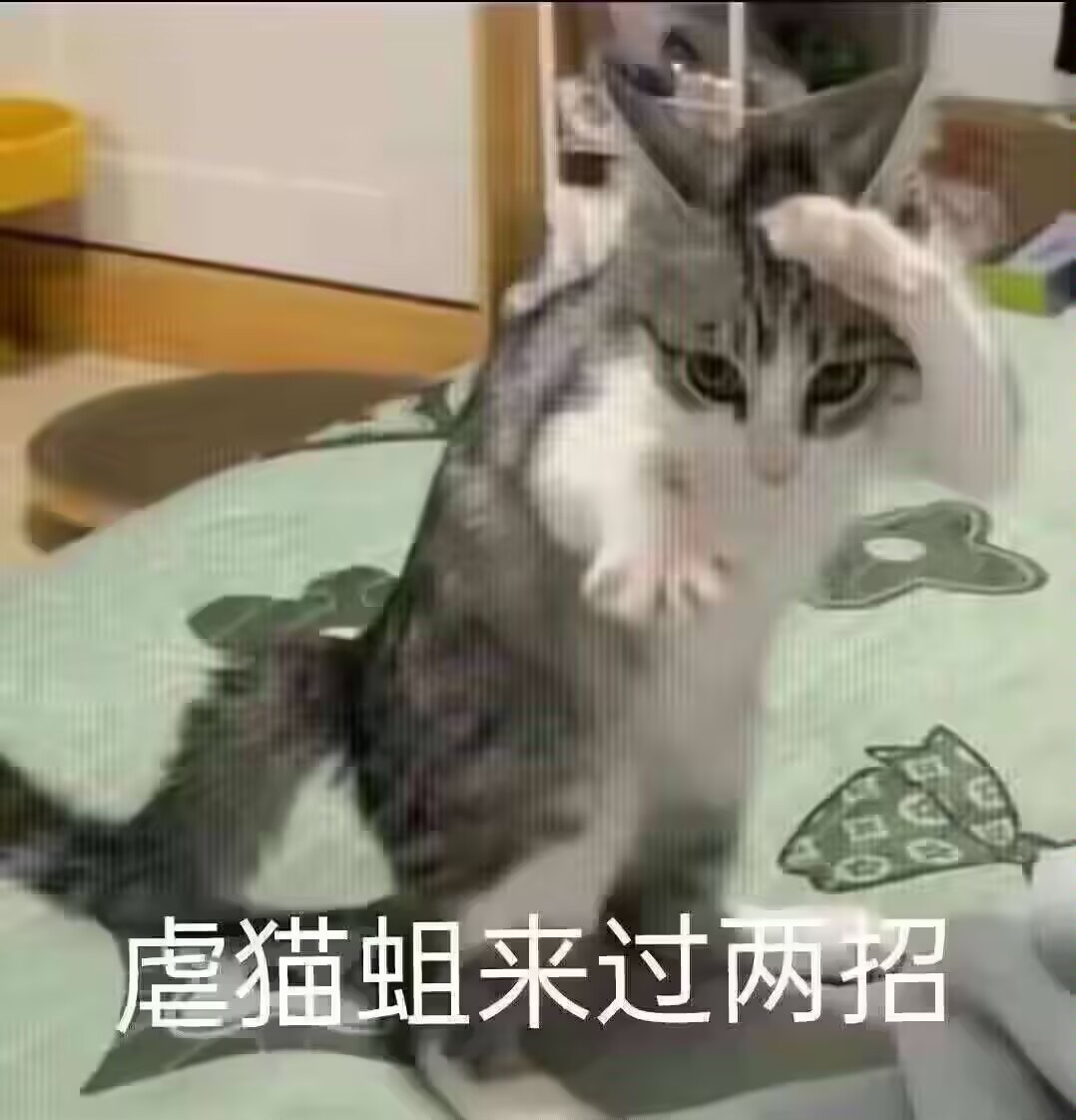 迷宫：致爱丽丝（同人……大概？）_图3
