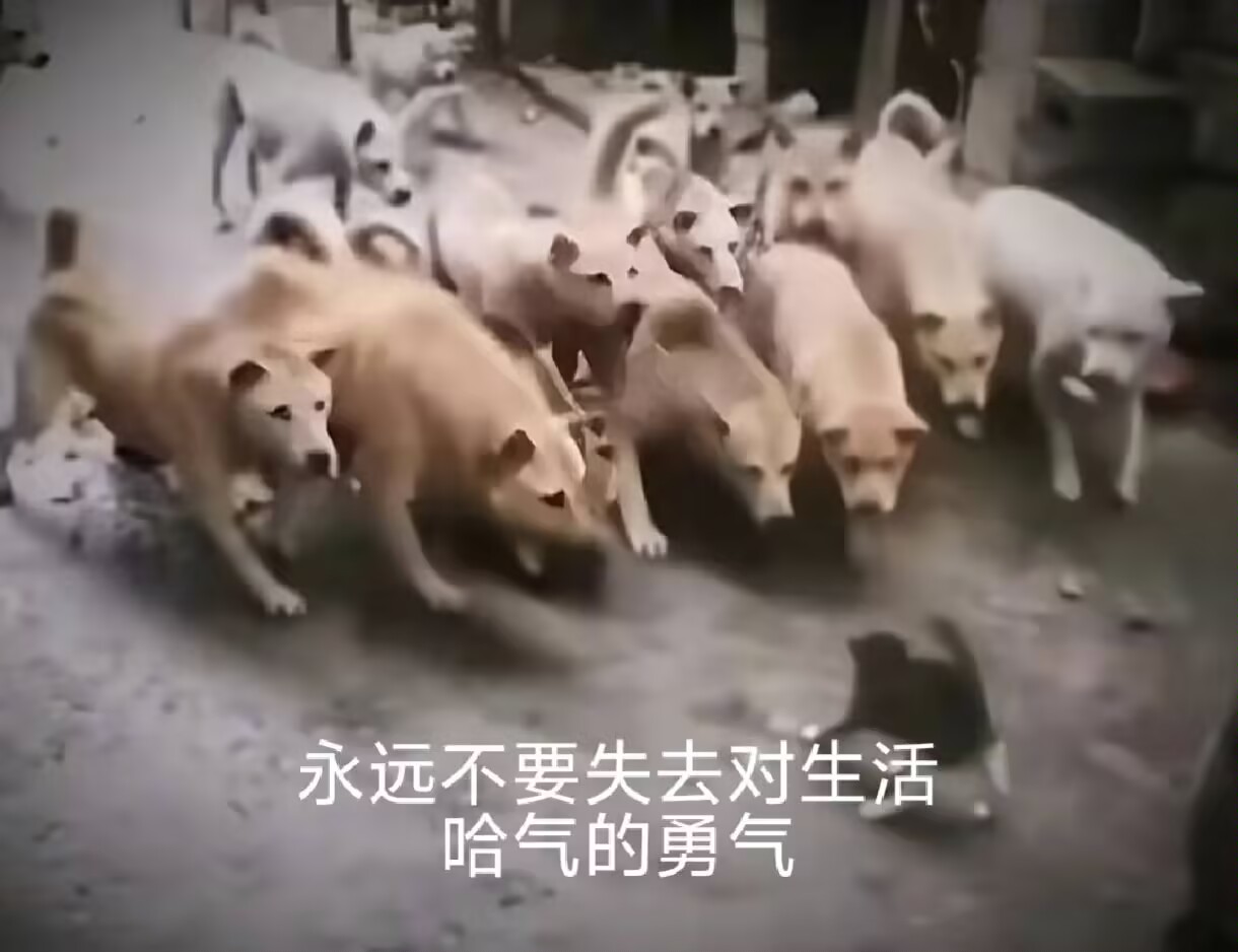 迷宫：致爱丽丝（同人……大概？）_图3