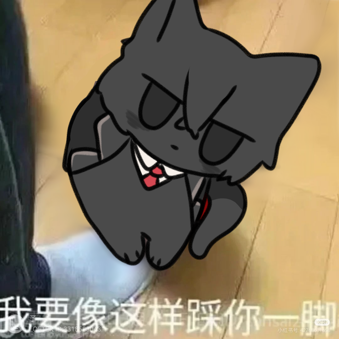 箱猫猫路过踩一脚_图1