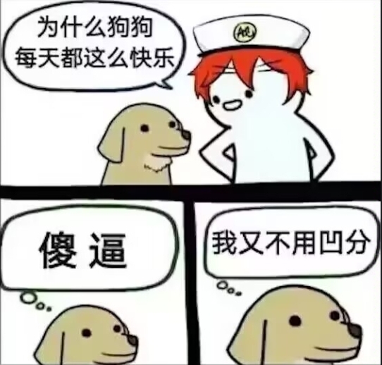 每天快乐的秘密！？_图1