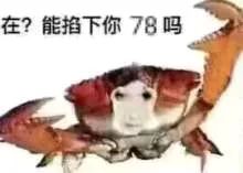 好好好_0