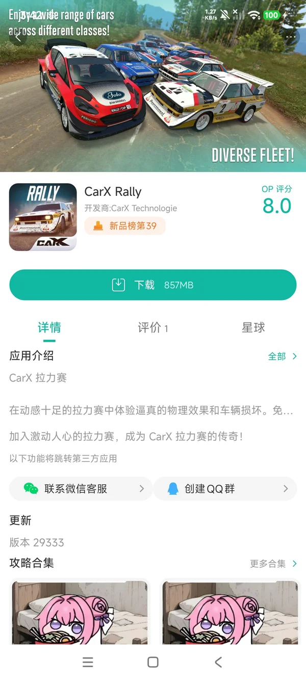 CarX Rally手游安装