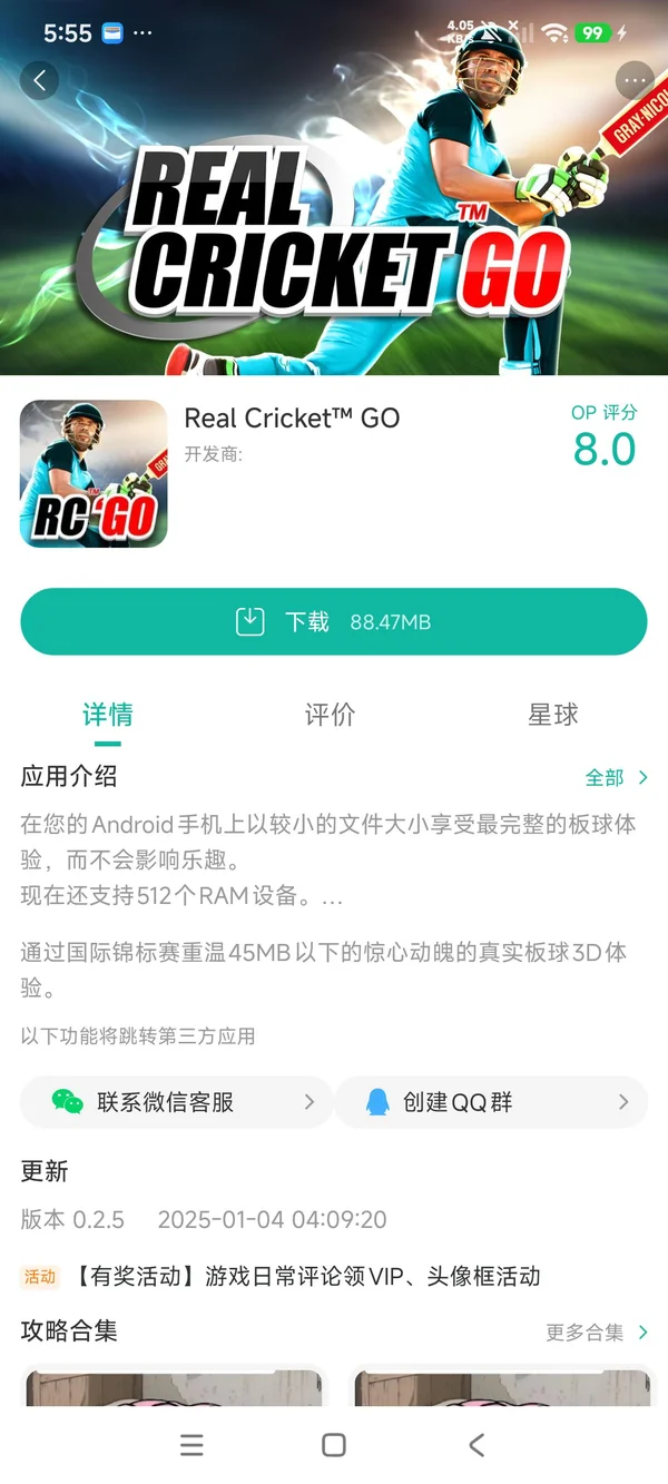 真实板球GO手游安装