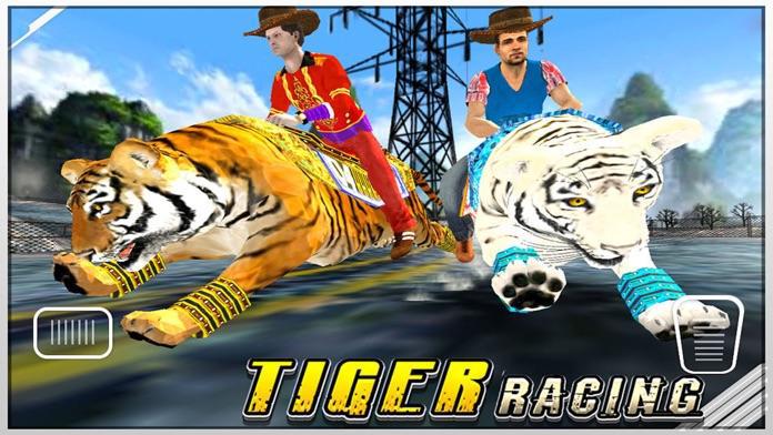 Tiger Racing : Simulator Race_截图_2