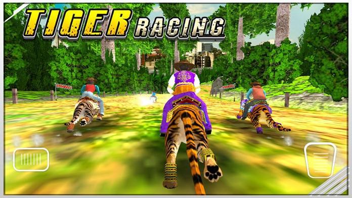 Tiger Racing : Simulator Race_截图_5