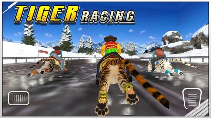 Tiger Racing : Simulator Race_截图_4