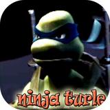 Ninja Turtle fighting Shredder