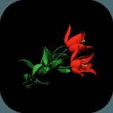 Escape Game: Red Flower
