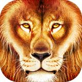 3D狮子模拟器动物狩猎生存游戏