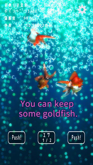 Goldfish Collection._截图_3
