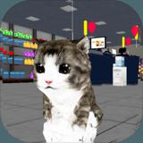 Kitten Cat Craft:Super Market Ep2