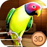 Birdy Pet - Parrot Life Simulator