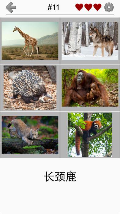 动物 : 动物学测验为大家_截图_4