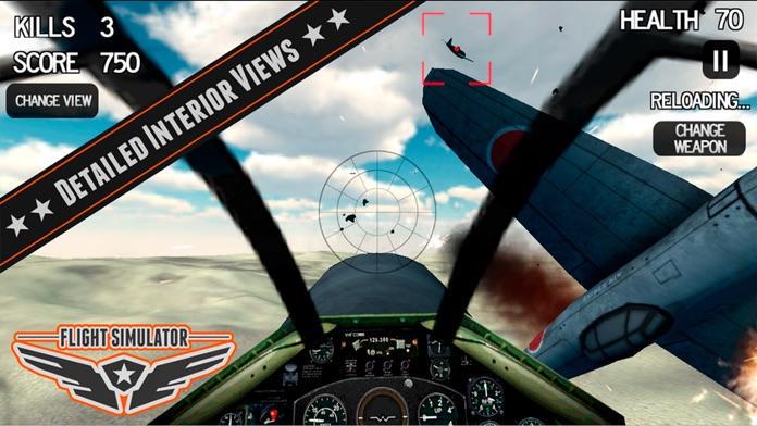 飞行模拟器飞机3D Pro的2014高清_游戏简介_图3
