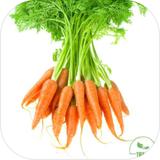 Carrot y