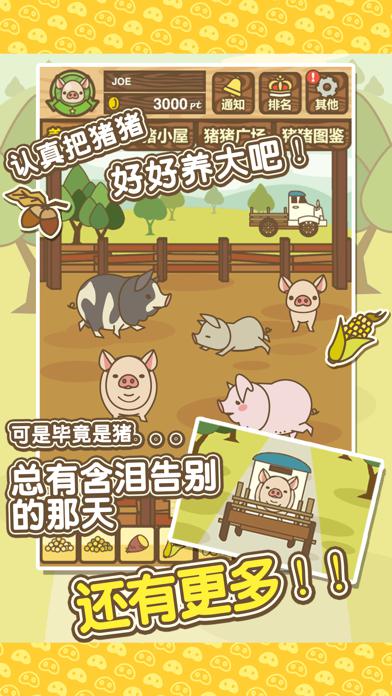 养猪场MIX_游戏简介_图2