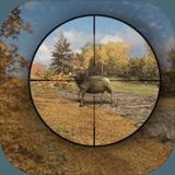 Forest Animal Shooting Sim