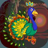 Kavi Escape Game 545 Peafowl Rescue Game