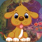 Best Escape Game 564 Zoony Dog Rescue Game