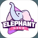 ElephantLive