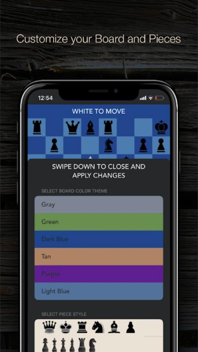 Blindfold Chess Puzzles_截图_2