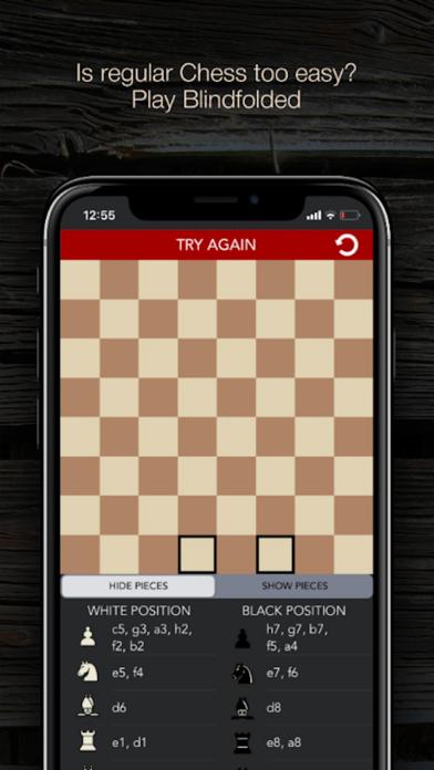Blindfold Chess Puzzles_游戏简介_图3