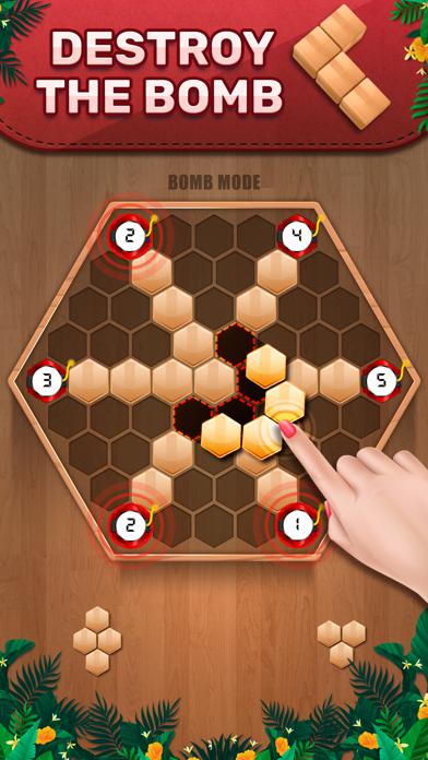 Wooden 100 Block - Hexa Puzzle_游戏简介_图3