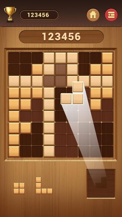 Block Puzzle-Wood Sudoku Game_截图_3