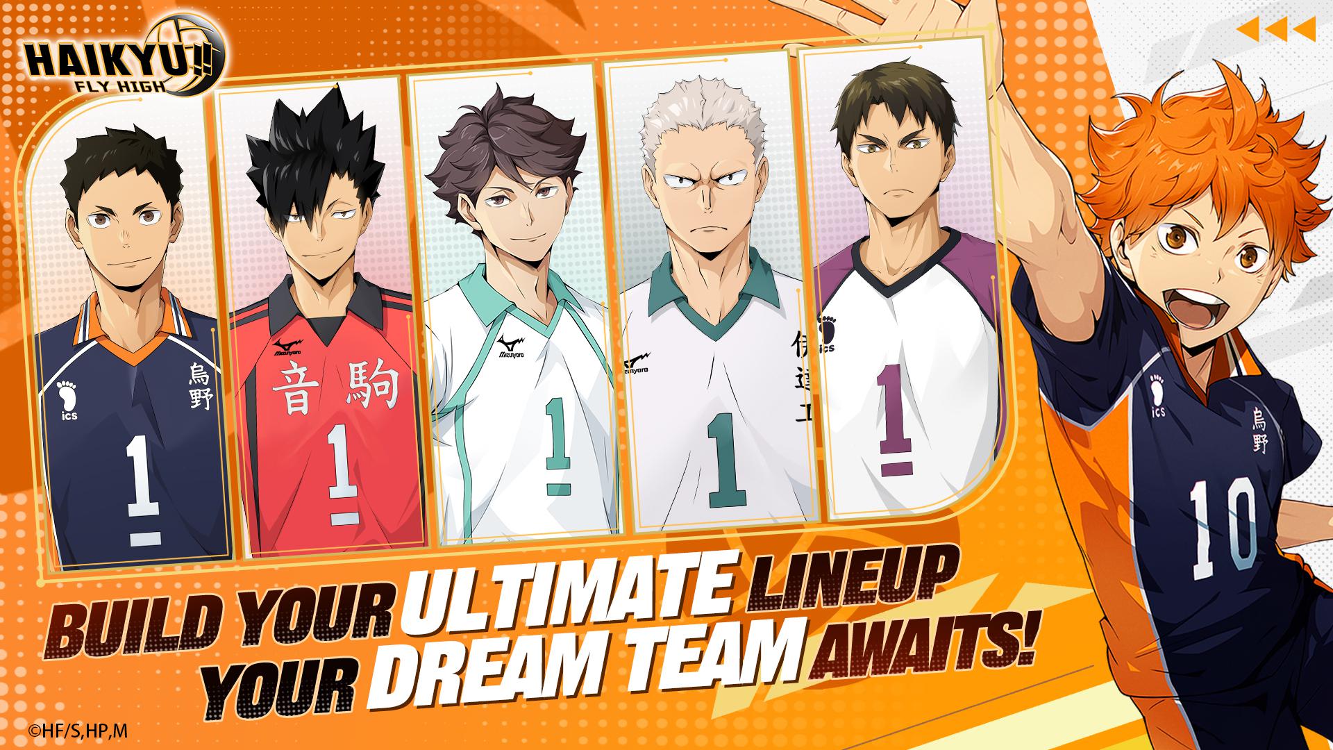 HAIKYU!! FLY HIGH