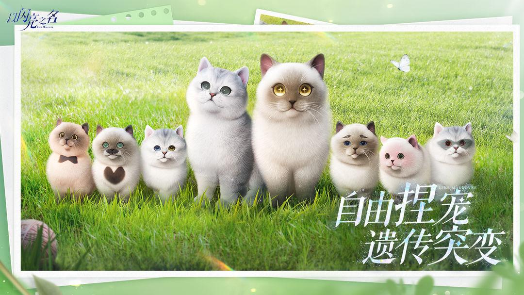 以闪亮之名新马服官网版_截图_5
