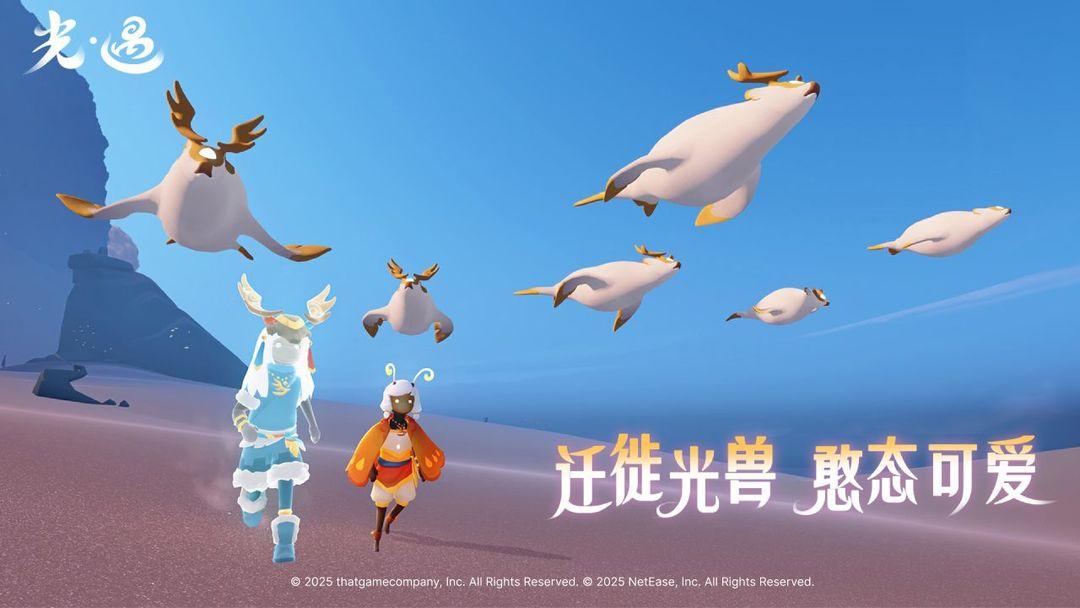 光遇测试服_截图_4