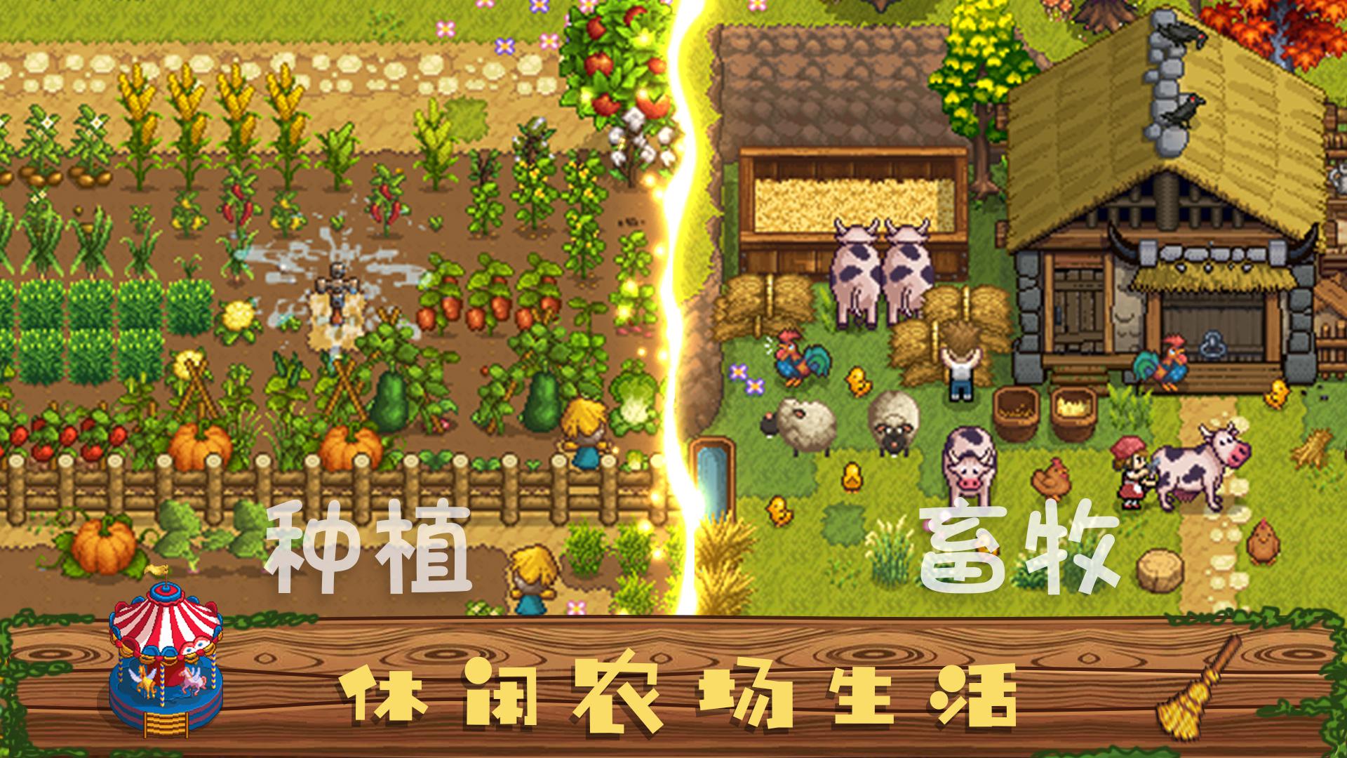 app截图2