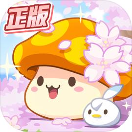 冒险岛：枫之传说（国服）