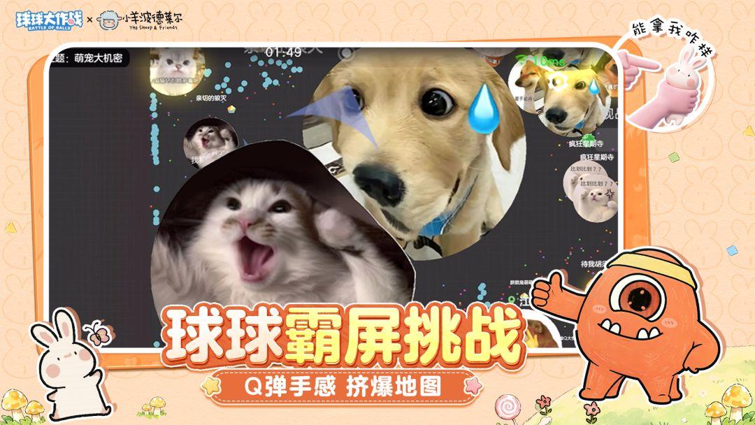 app截图3