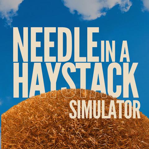 Needle In A Haystack Simulator