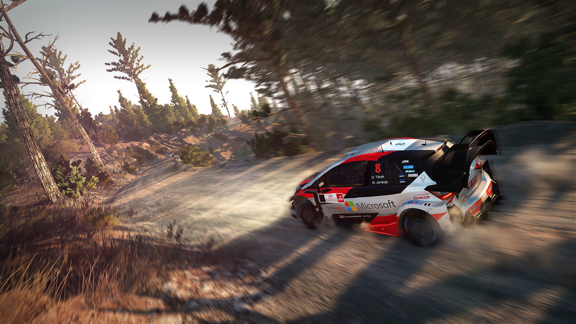 WRC 8_介绍_4