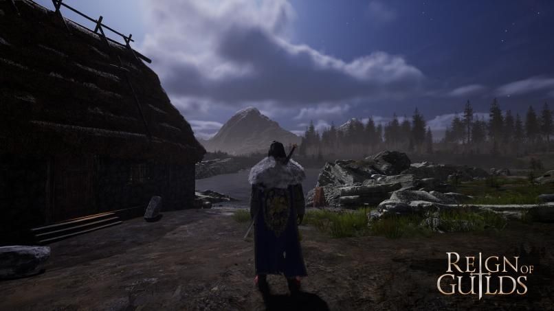 Reign of Guilds_介绍_5