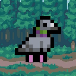 Birb