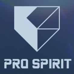 eBaseball: PRO SPIRIT