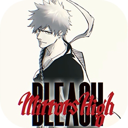 BLEACH Mirrors High